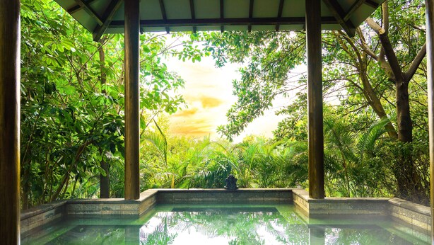 Una piscina interior tranquila con vistas a exuberante vegetación y un cielo despejado.