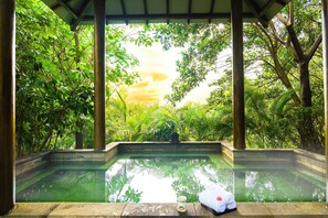 Une piscine intérieure paisible, offrant une vue sur une végétation luxuriante et un ciel dégagé.