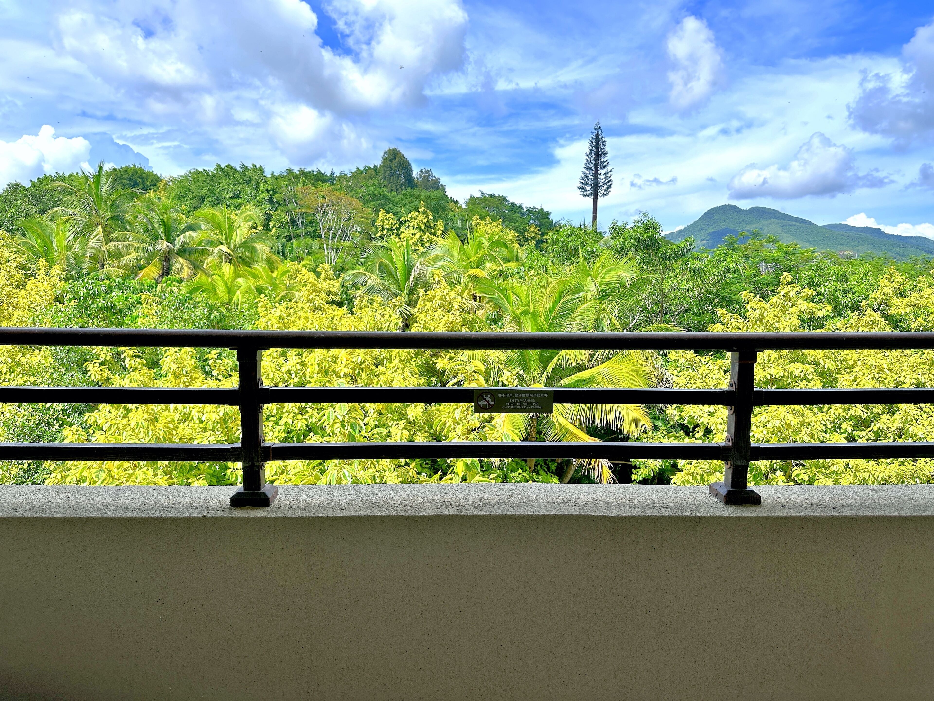 A balcony with a view of lush greenery and a mountain in the distance.