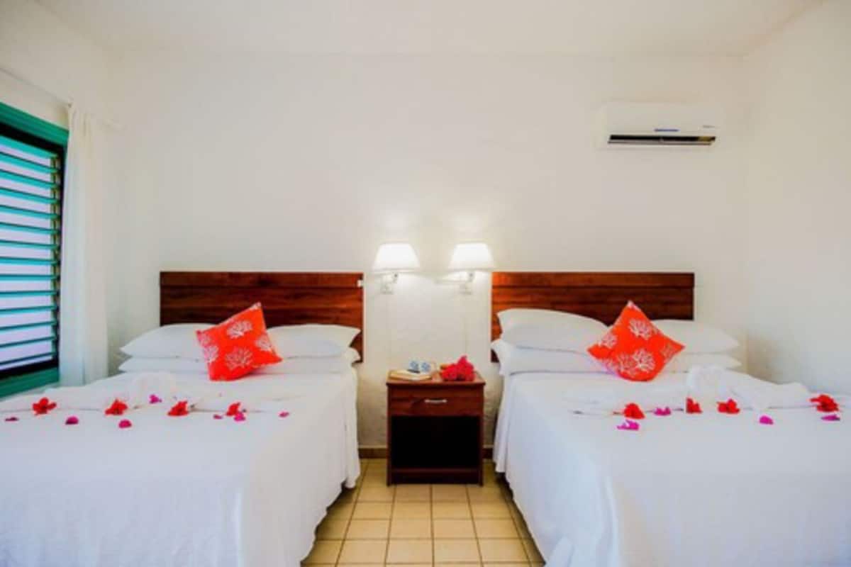 Phòng đơn phong cách cổ điển | Két bảo mật tại phòng, bàn ủi/dụng cụ ủi quần áo 