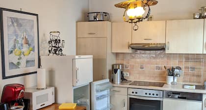 Comfortable apartment, 2 rooms-kitchen-bathroom and balcony (110m²), city center
