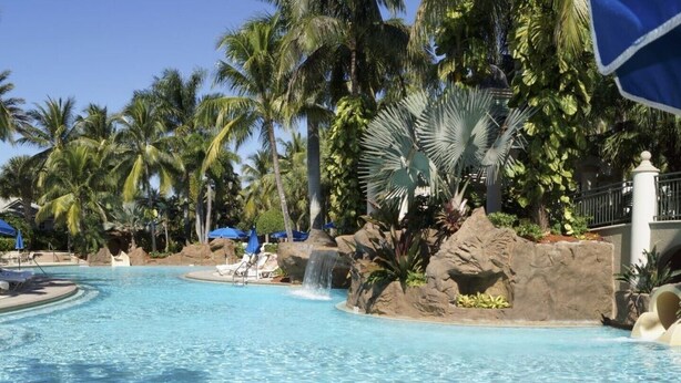A swimming pool with clear blue water, surrounded by palm trees and rocks. - PARADISE FOUND! NOW BOOKING FOR 2026! (Naples)