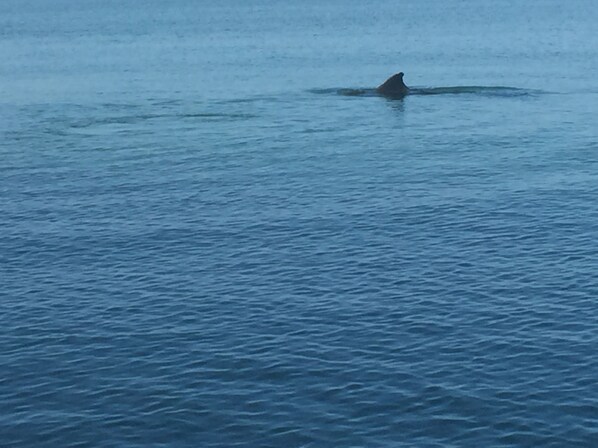 海灘、躺椅、沙灘巾