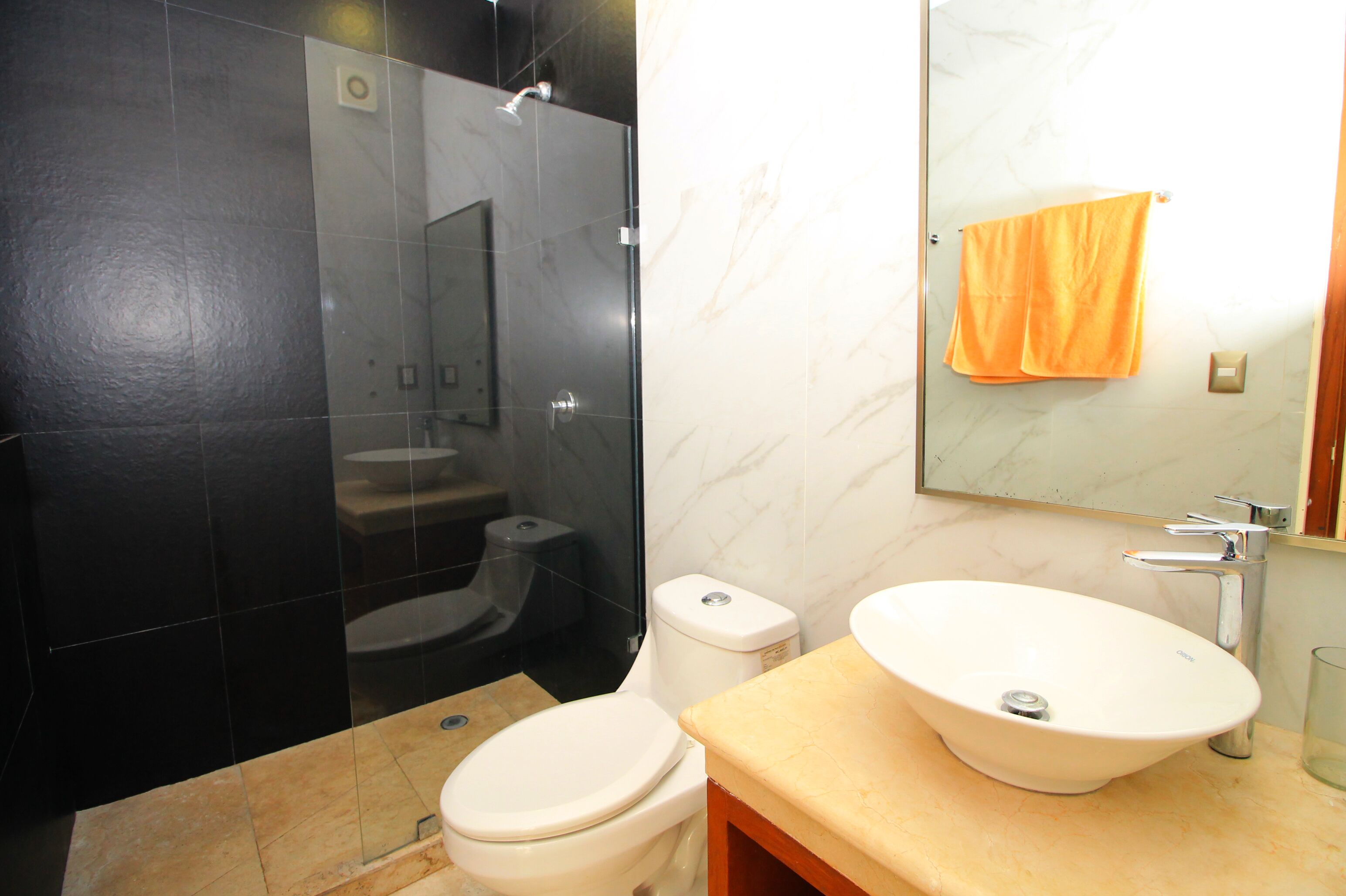 Un baño con ducha compartimentada por vidrio, un inodoro blanco y un lavamanos color beige con un espejo encima.