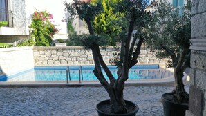 Ein Poolbereich mit Steinmauer, Kübelpflanzen und einem klaren, blauen Pool.