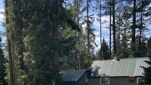 A cabin with a metal roof, surrounded by a forest. There is a gravel path leading to the cabin, and several large rocks are scattered around. - Homestead Living at Lake Wenatchee (Leavenworth)