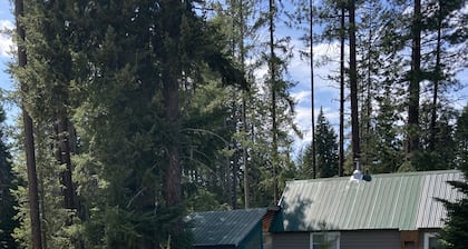 Homestead Living at Lake Wenatchee
