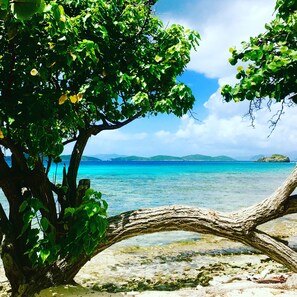 On the beach, sun loungers, beach towels - Sail Away II-WOW Beachfront to Paradise and Remodeled with full unit generator (St Thomas)
