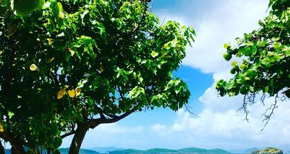 Sail Away II-WOW Beachfront to Paradise and Remodeled Throughout