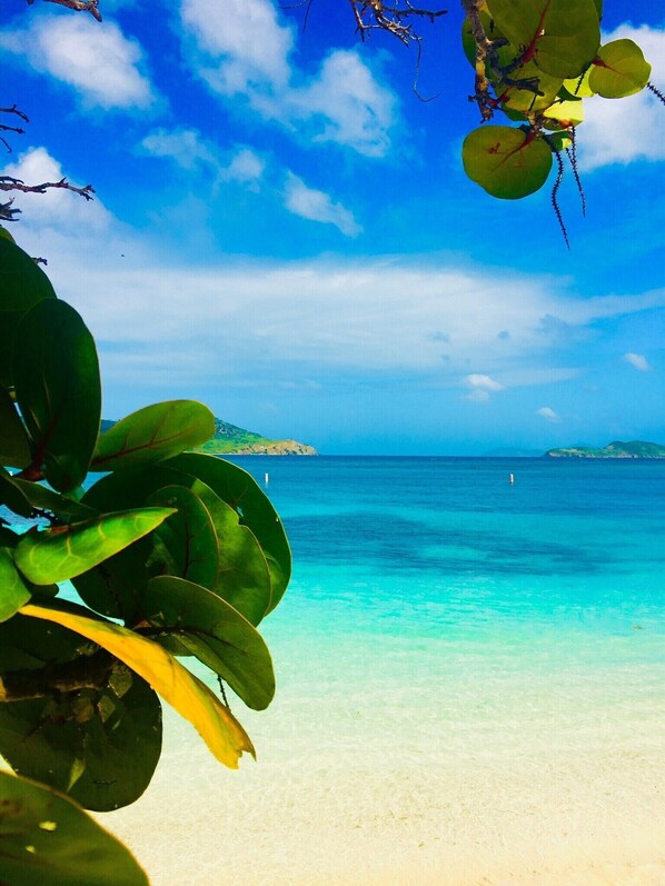 On the beach, sun loungers, beach towels - Sail Away II-WOW Beachfront to Paradise and Remodeled Throughout (St Thomas)