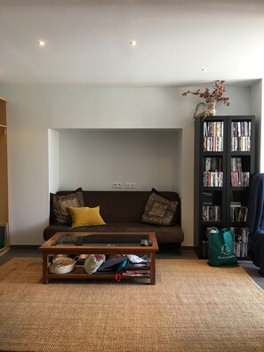 TV, fireplace, video games, DVD player
