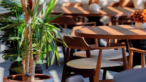Une plante en pot, placée dans un pot blanc, des tables et des chaises en bois, et une vue sur la verdure à l’extérieur.