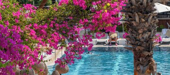 Skopea Inn Exclusive