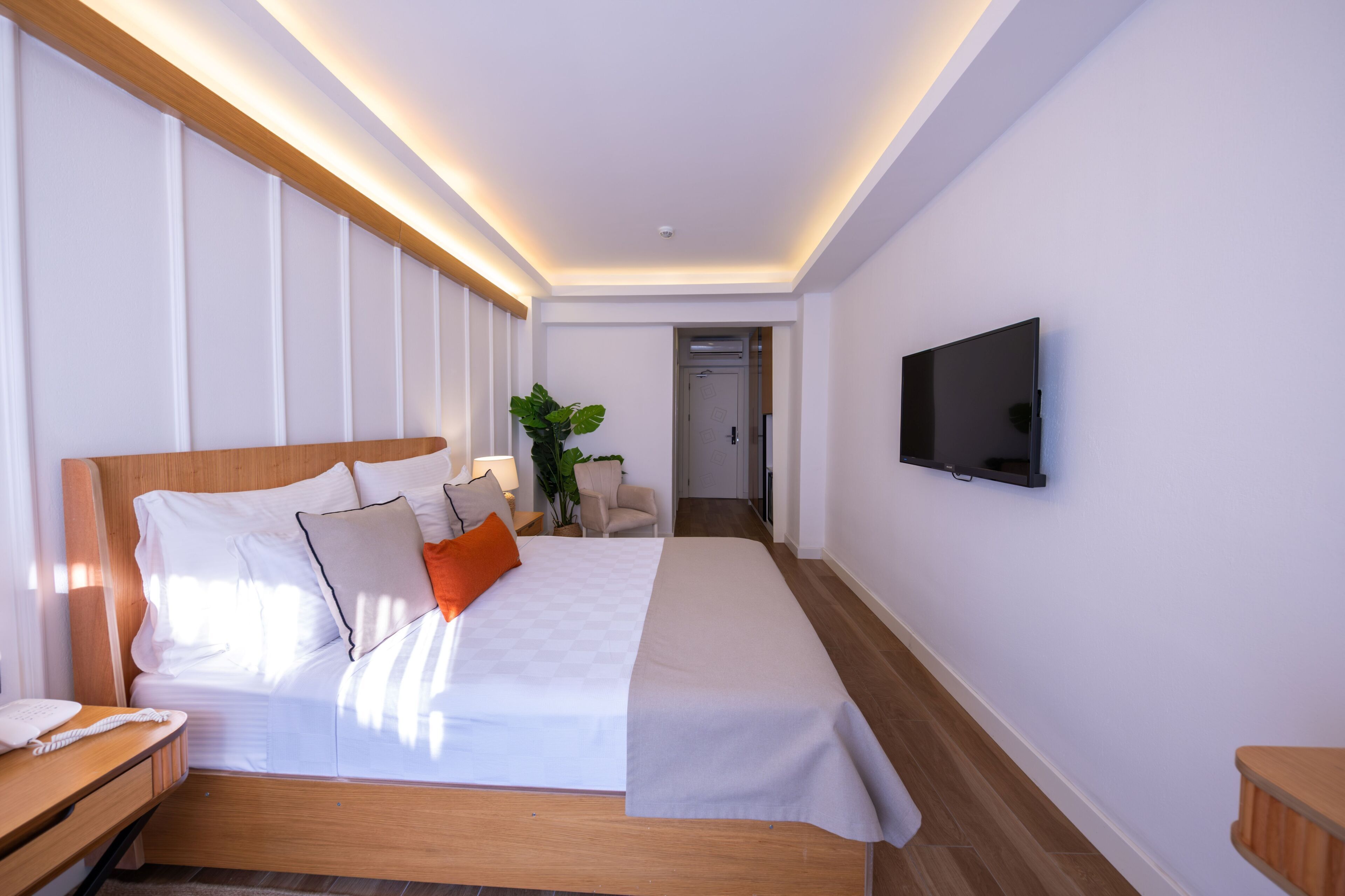 A modern hotel room with a large bed, bedside tables, a flat-screen TV, and a potted plant.
