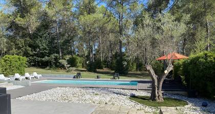 Villa avec piscine au coeur de la pinĂšde