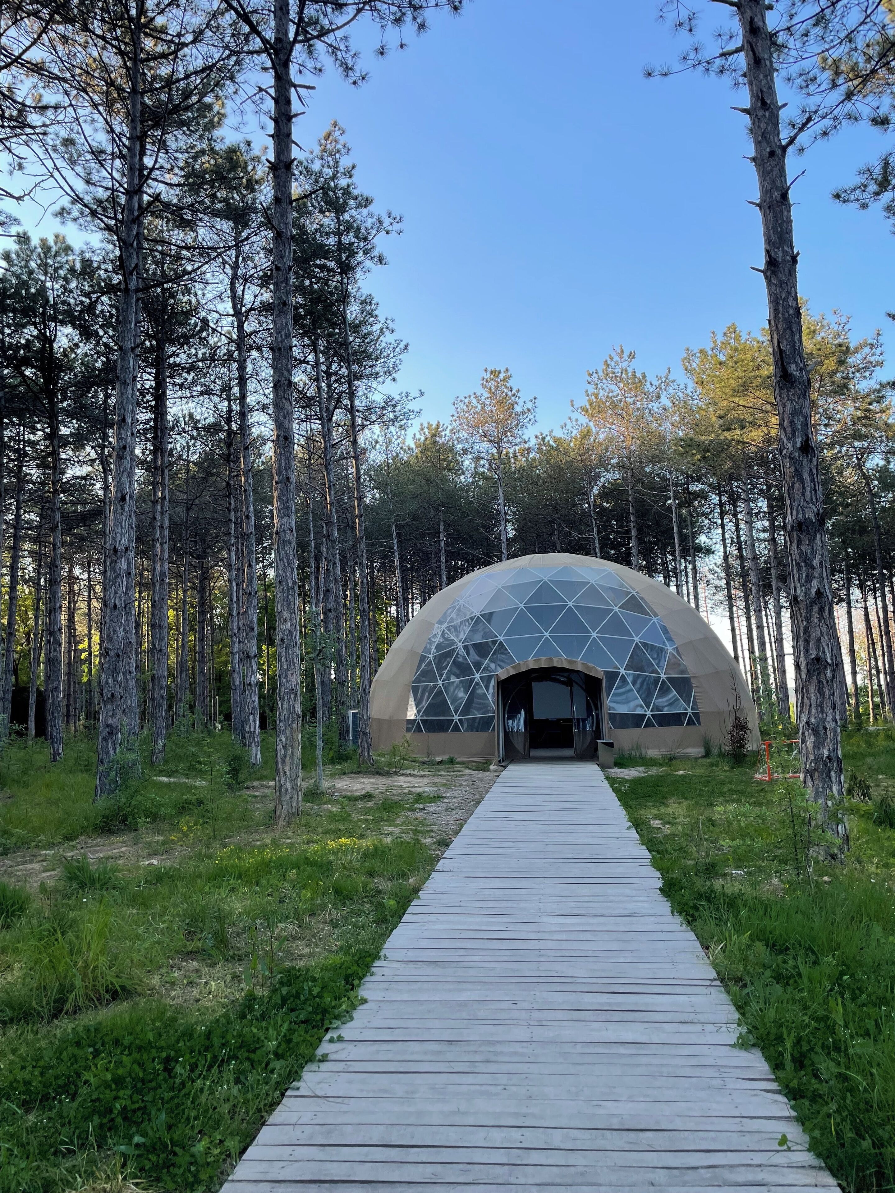 A dome-shaped building with a wooden pathway leading to it, surrounded by tall trees.