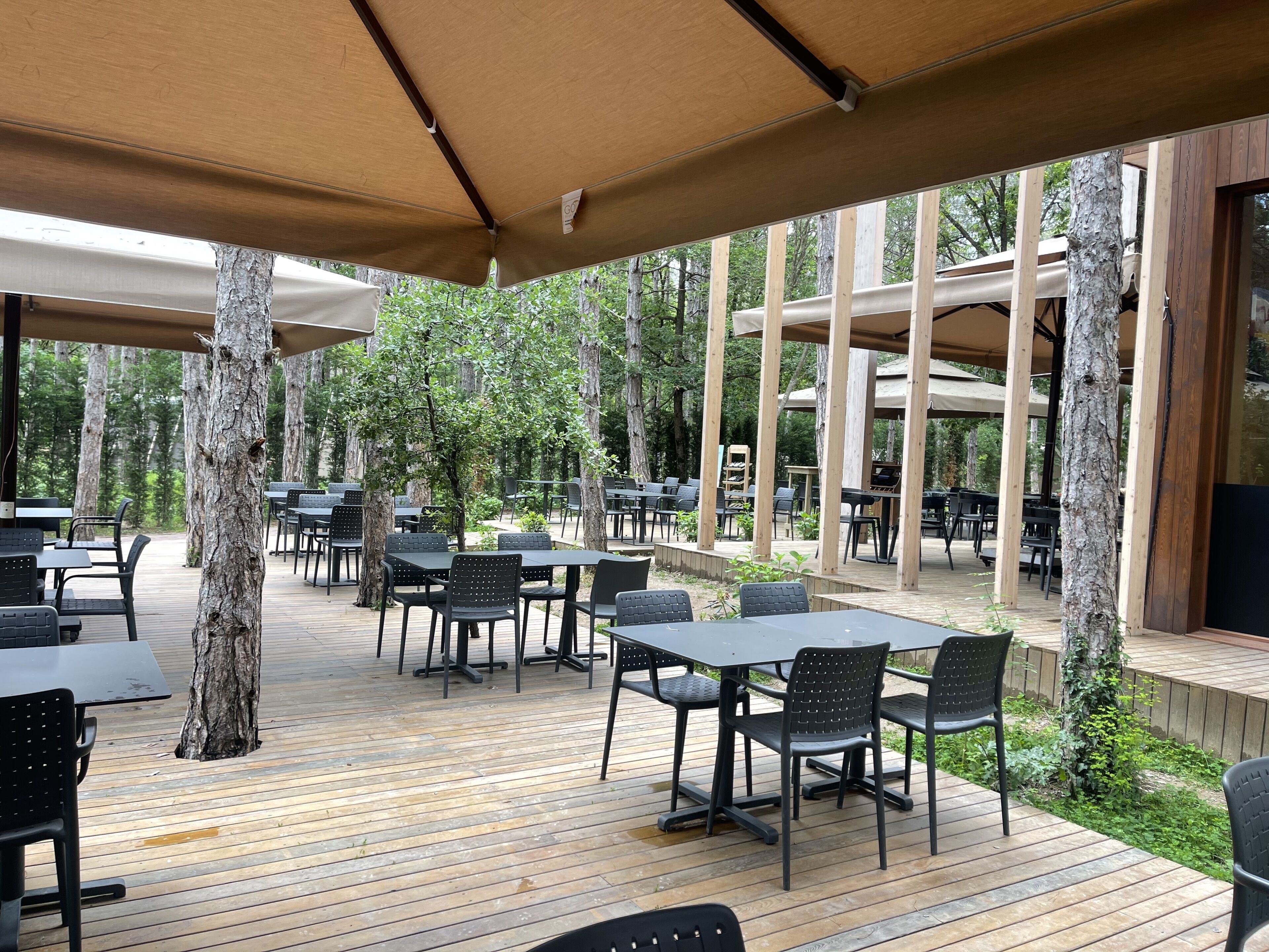 供应早餐、午餐和晚餐