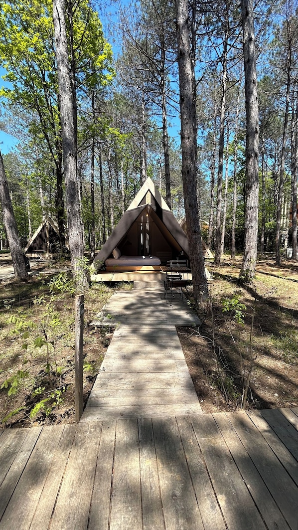 Club Tent, Courtyard View (Sincap)
