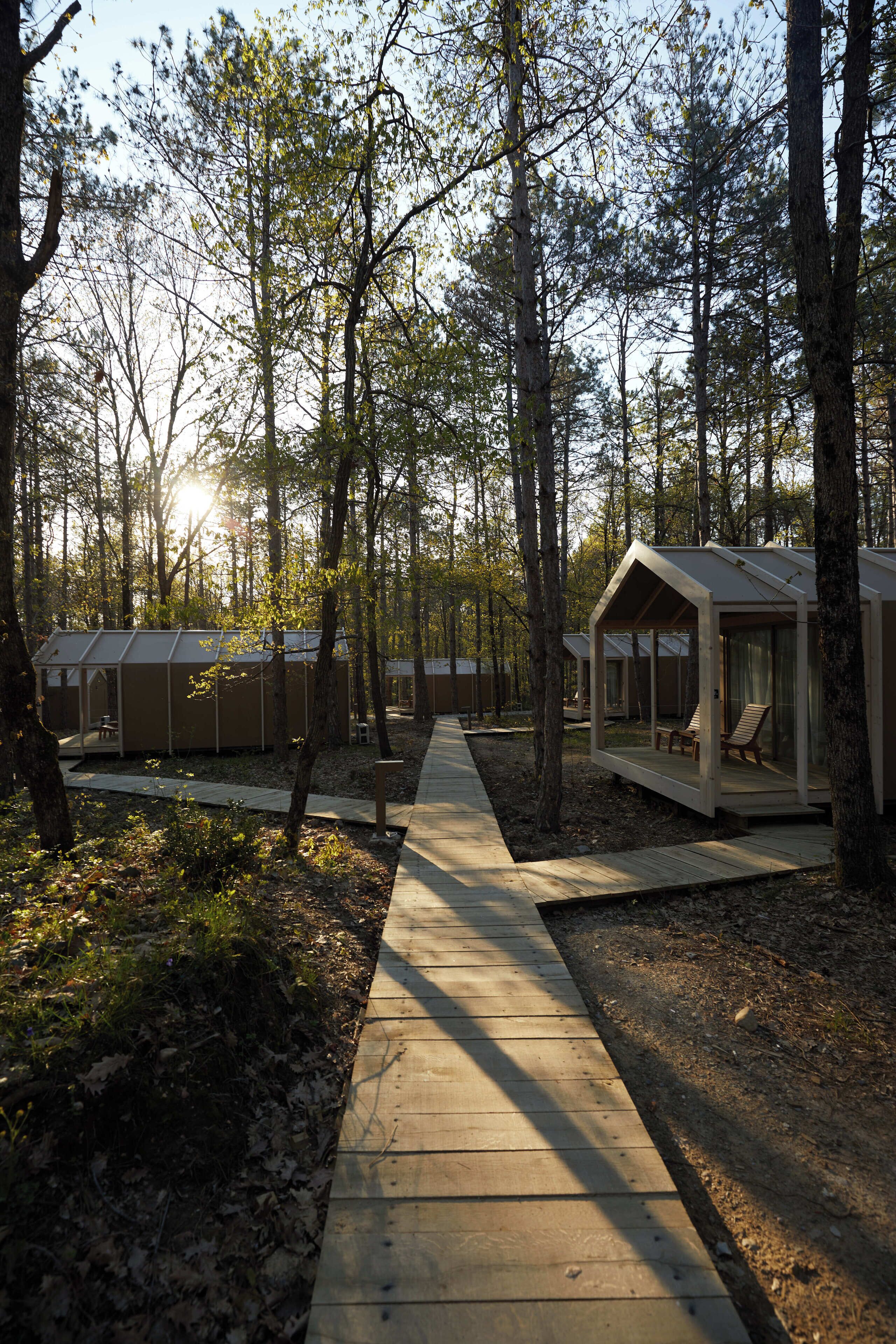 Comfort Tent | View from room