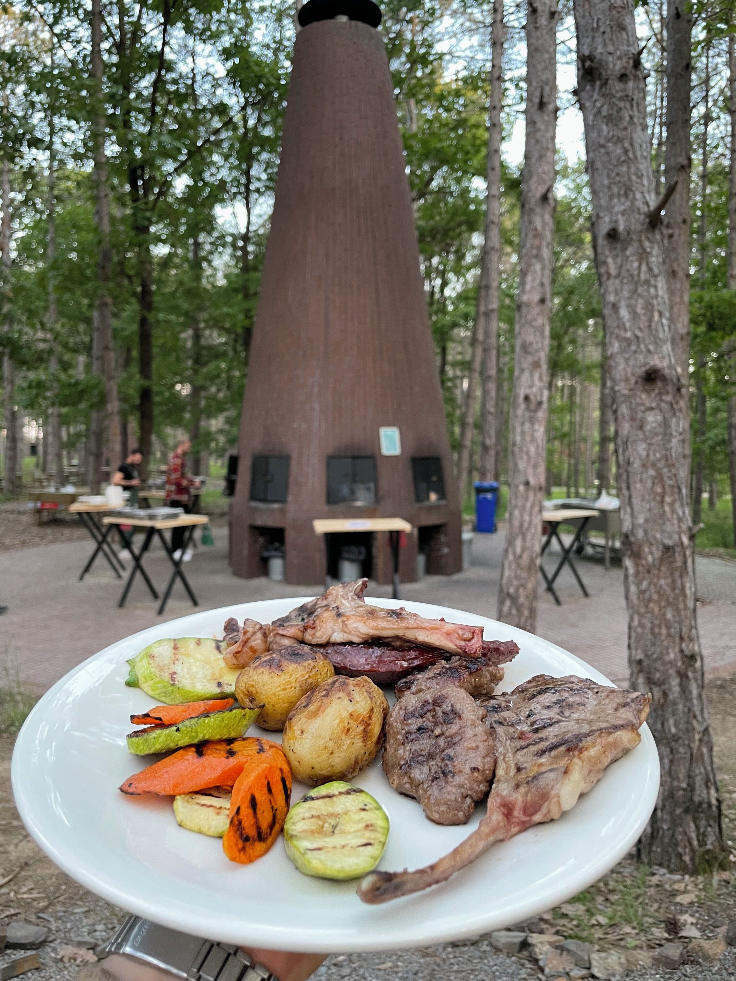 A plate of grilled meat and vegetables in a forest setting with a conical structure in the background.