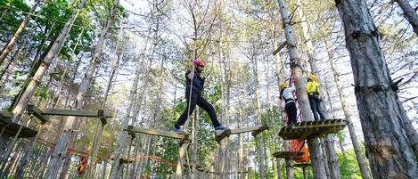 An outdoor adventure course with wooden platforms and ropes in a forest setting.