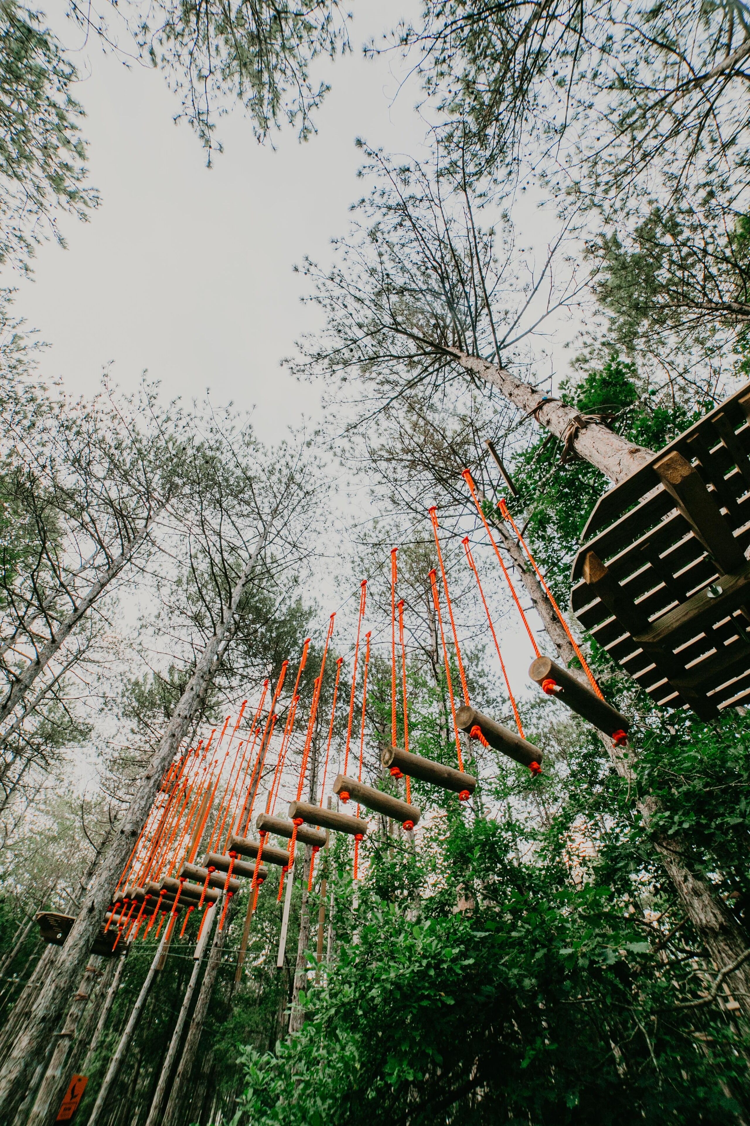 Un puente colgante en un área boscosa con entorno natural.