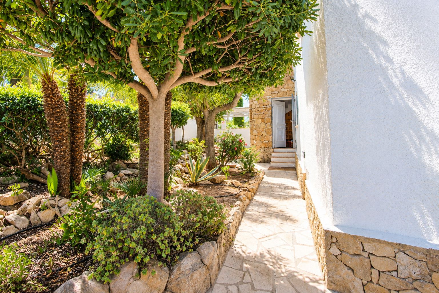 A stone pathway leading to a building with a white exterior, surrounded by various plants and trees.