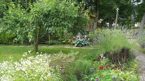 Un jardín con diversas plantas y flores, un camino y un edificio al fondo.