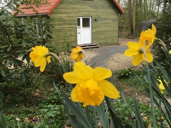 Unclassified image, 1 of 28, button