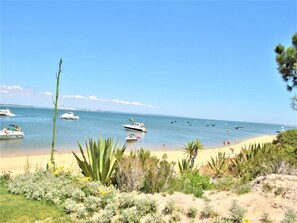 Plage à proximité
