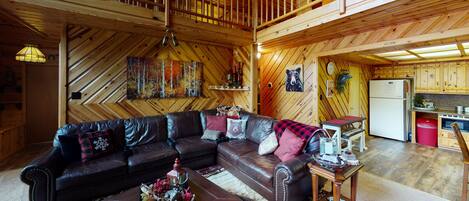 Televisión, chimenea y reproductor de DVD