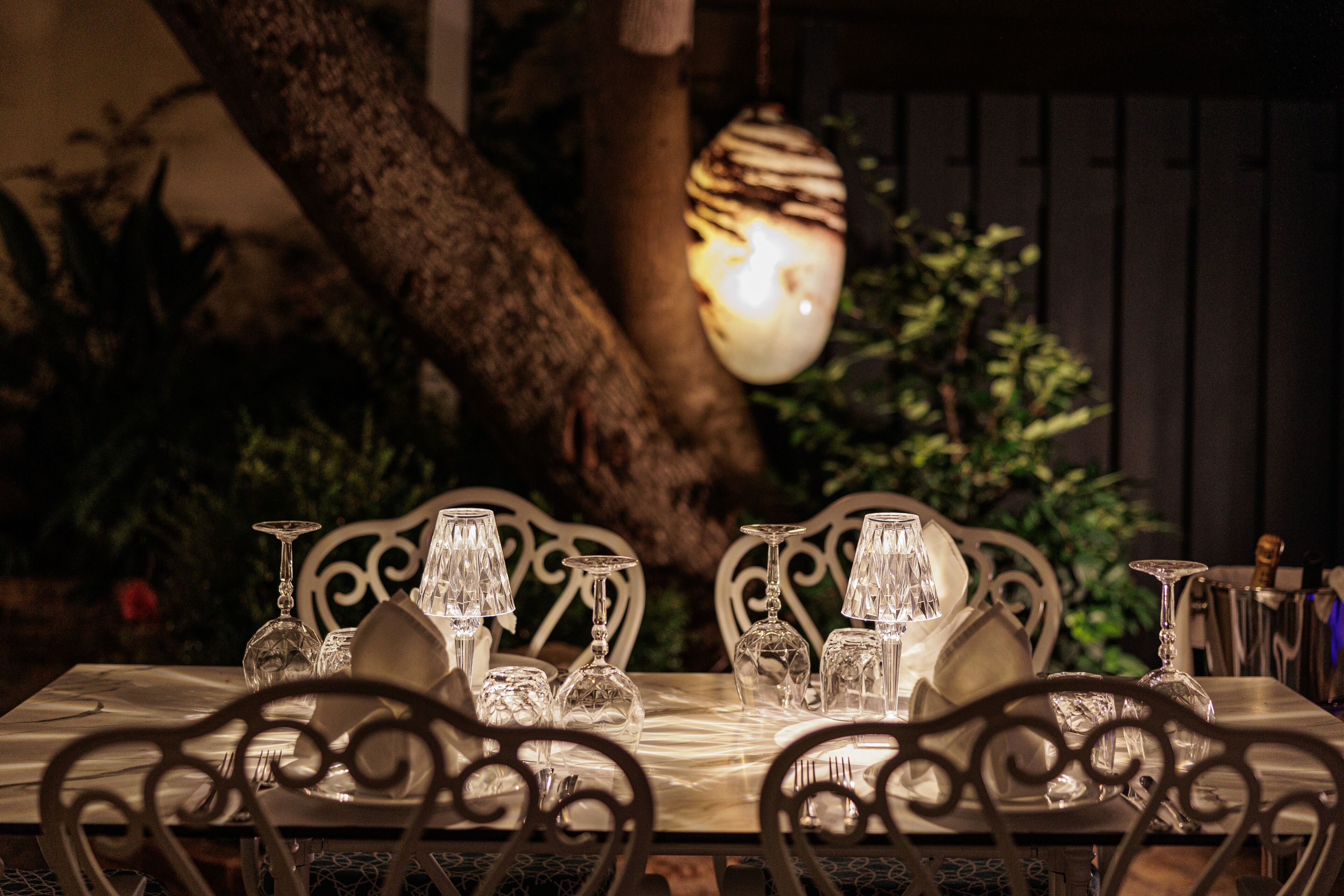 A dining table set with glassware and metal chairs, surrounded by greenery and a tree trunk.