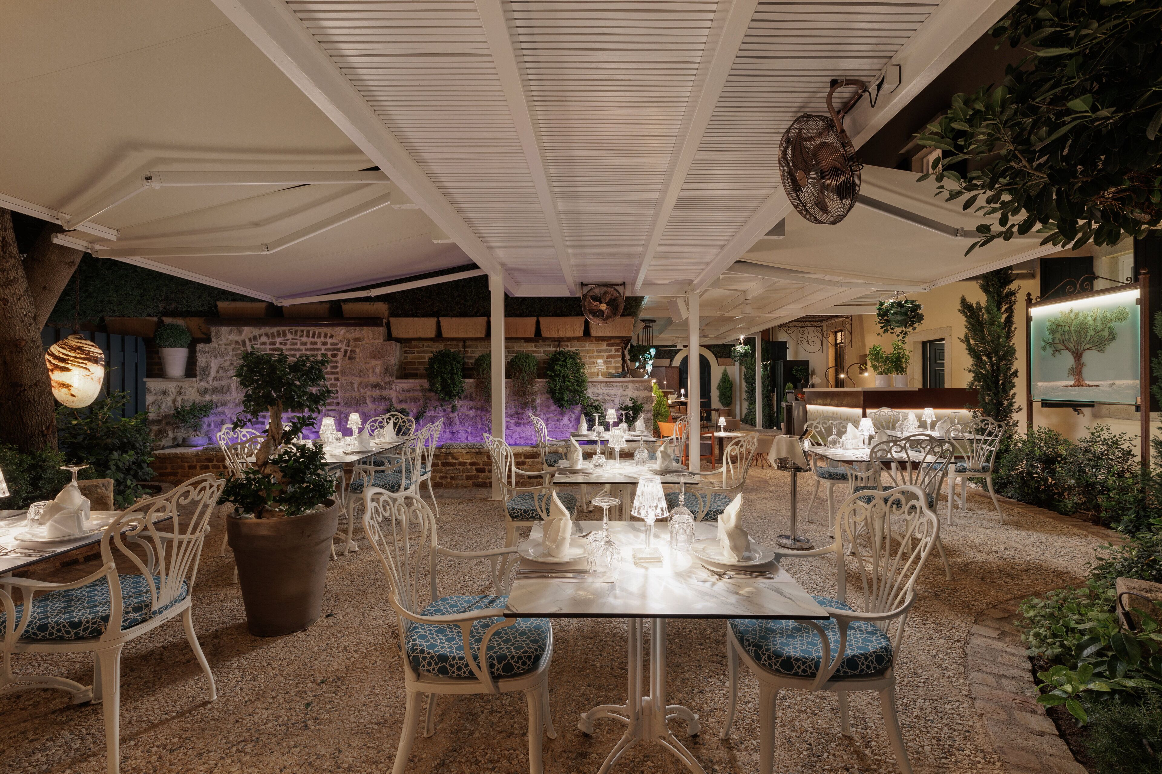 Photo - Acanthus blue