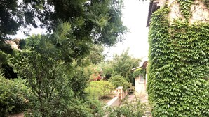 Un jardín con diversas plantas y un sendero de ladrillo que lleva a un edificio cubierto parcialmente de hiedra.