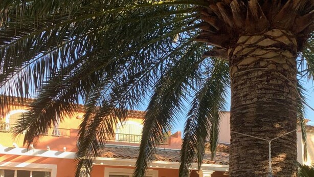 Un hotel con mesas al aire libre, palmeras y un edificio con techo de tejas.
