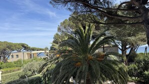 Un jardín con palmeras, una piscina y un edificio de estilo arquitectónico mediterráneo.