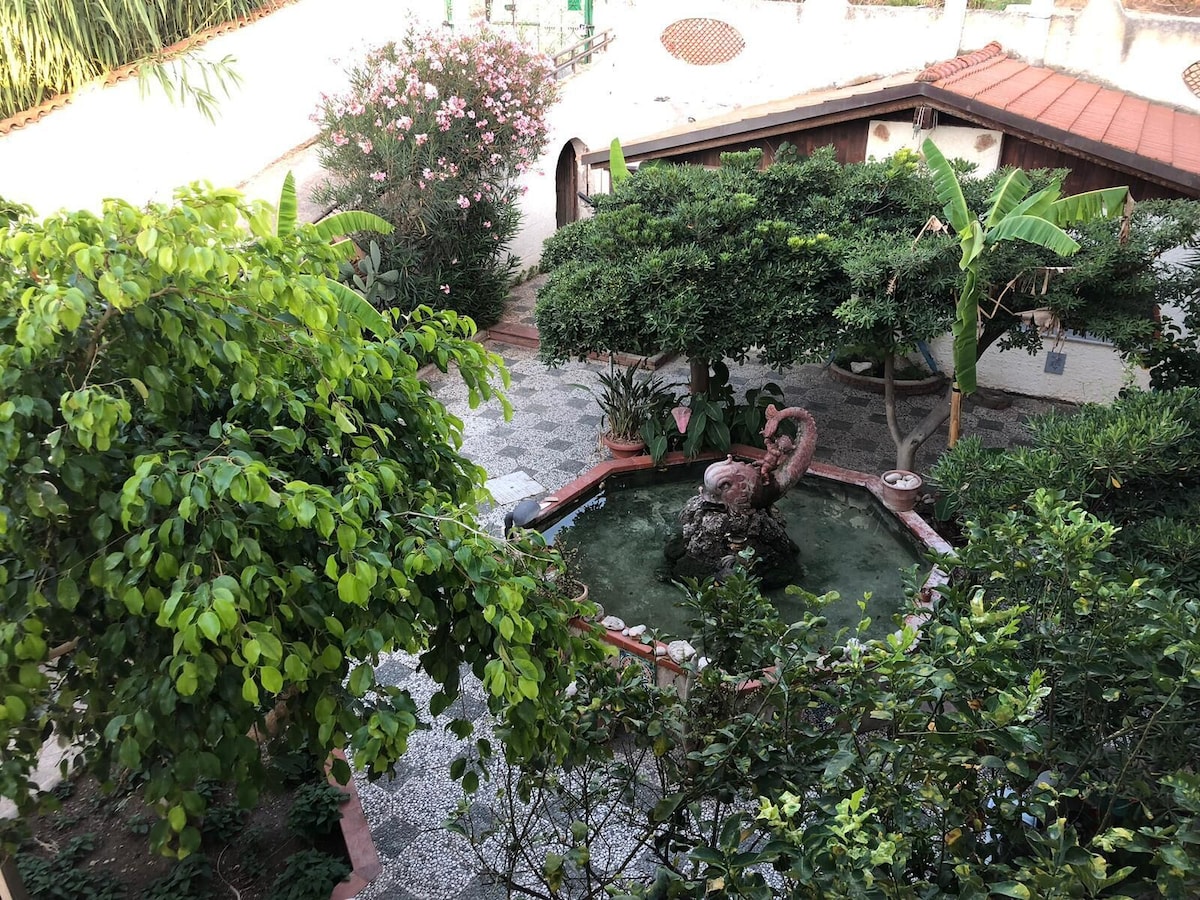 Image de profil de l’hôte