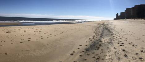 A sandy beach with footprints and a clear sky.