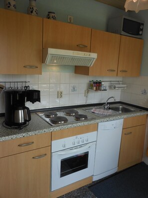 Fridge, microwave, stovetop, dishwasher
