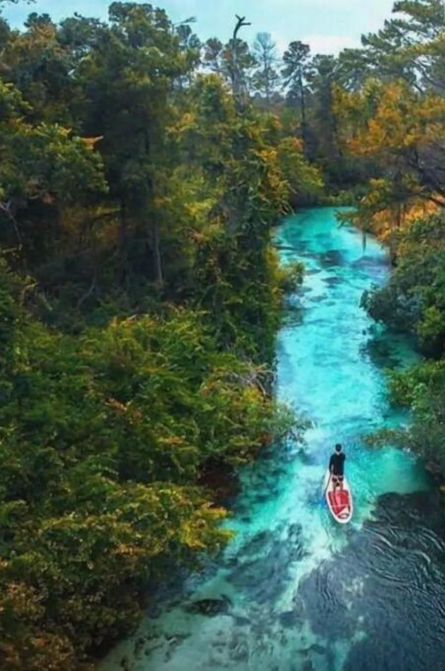 A river surrounded by dense forest, a person on a paddleboard, and a clear sky.