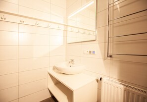 Shower, hair dryer, toilet paper
