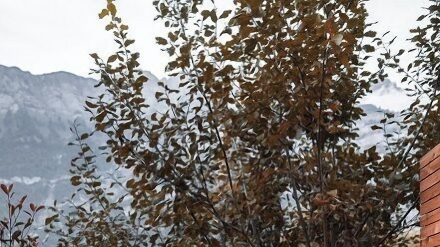 lofthotel am Walensee