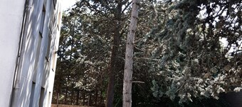 APT well lit, well located near transport & described com on photos & text