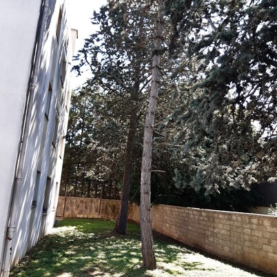 APT well lit, well located near transport & described com on photos & text