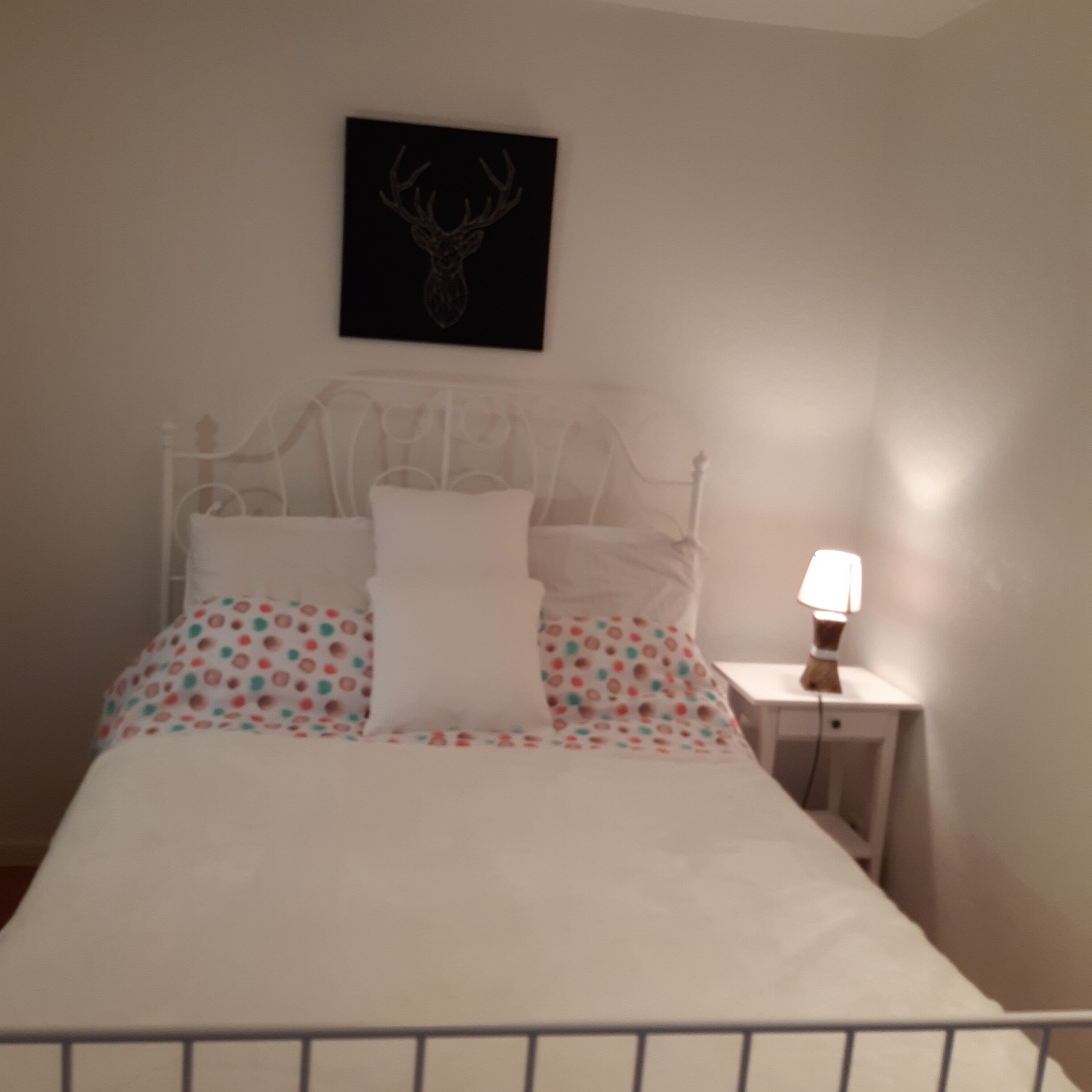 1 chambre, chambres insonorisées, fer et planche à repasser