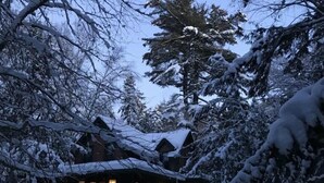En timmerstuga med ett snötäckt tak, omgiven av träd och en klar himmel.