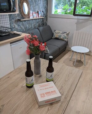 TV - Studio Biarritz, swimming pool, beach, golf, parking (Anglet)