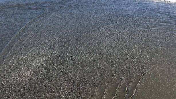 Una playa con agua cristalina y una colina cubierta de bosque al fondo.