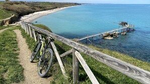 Un sendero costero con una valla de madera, una bicicleta y un muelle de madera que se adentra en el agua.