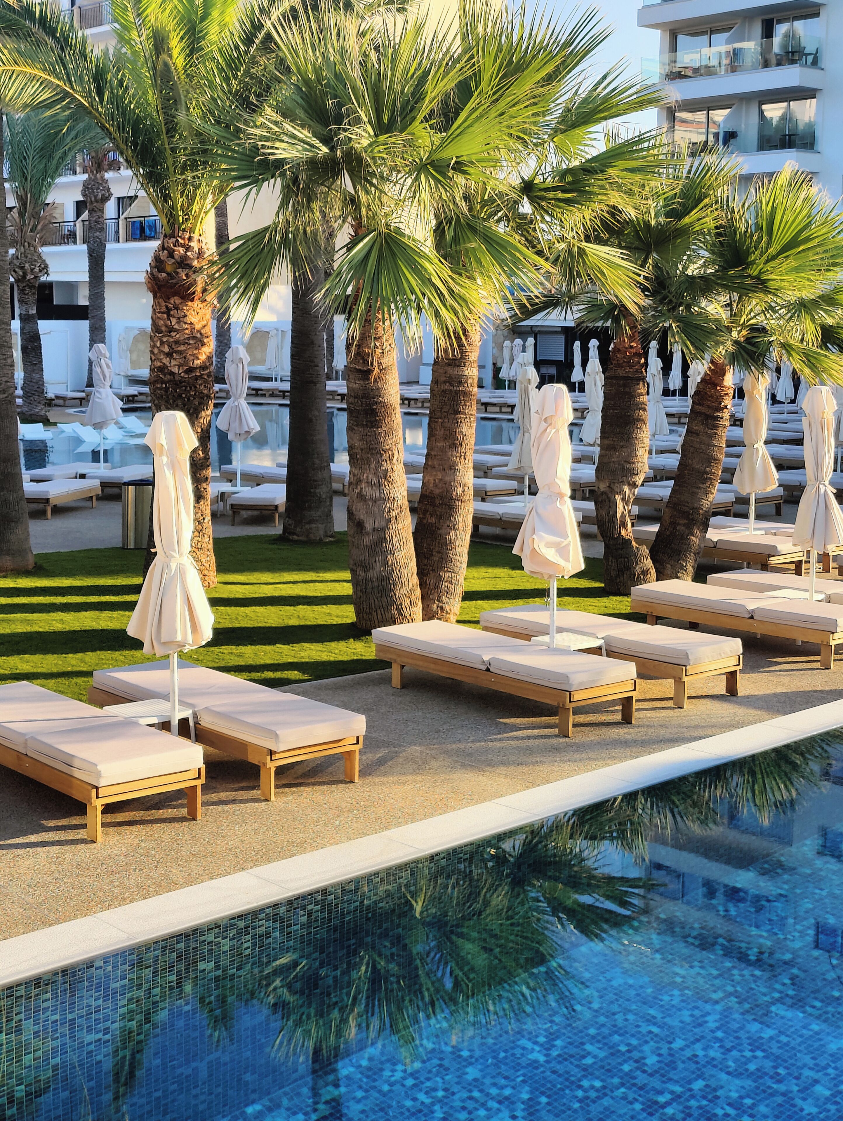A poolside area with lounge chairs and umbrellas, palm trees, and a reflection in the water.